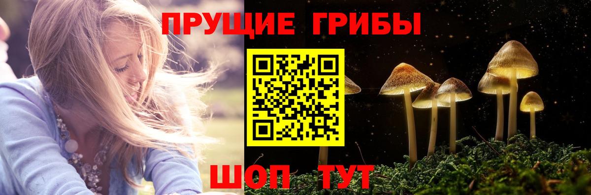 Пушкино  Псилоцибиновые грибы мицелий  Вход с VPN  Галлюциногенные грибы GOLDEN TEACHER 