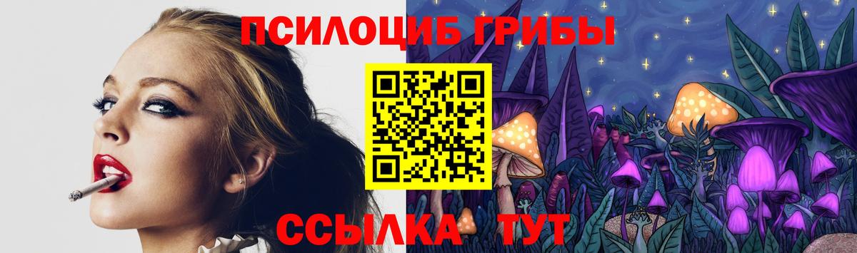 Псилоцибиновые грибы ЛСД Пушкино